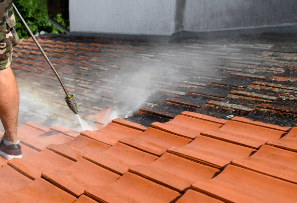 Best Affordable Pressure Washing  in Hendersonville, TN